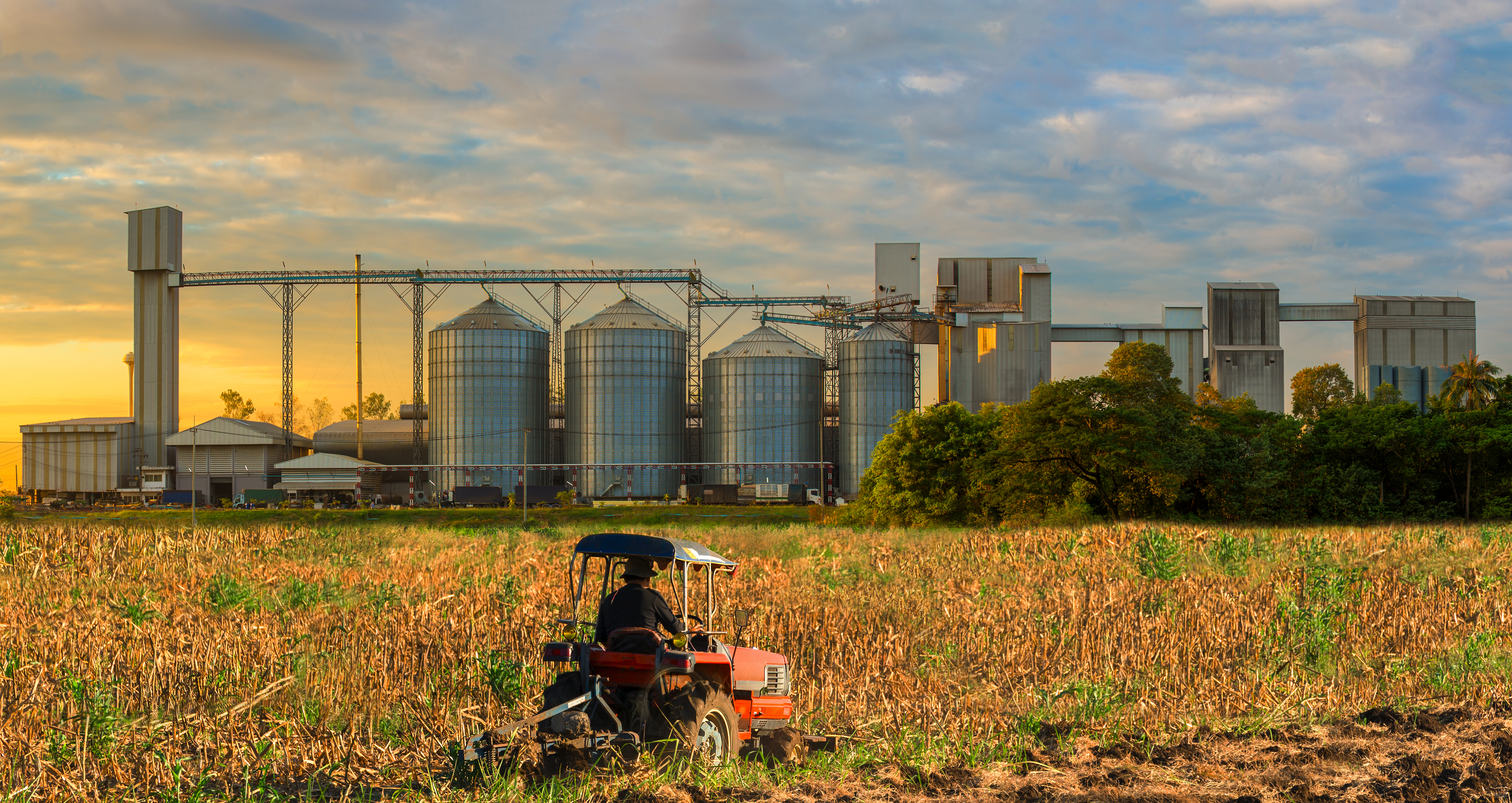 Agriculture manufacturing facility and crop field