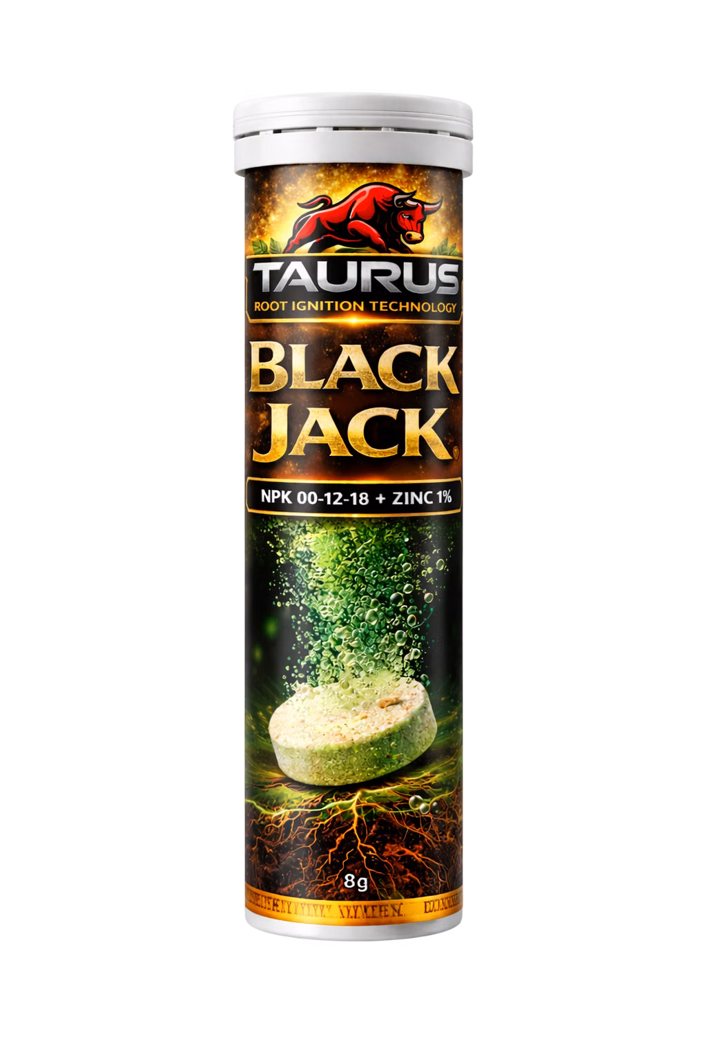Black Jack