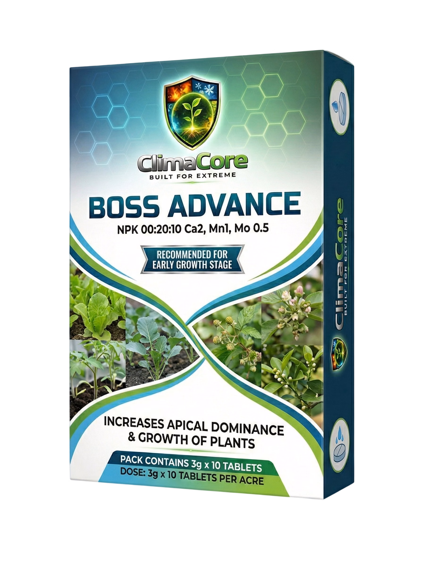 Boss Advance