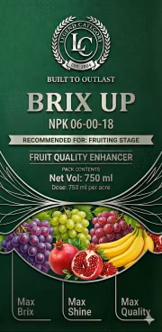Brix Up