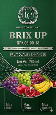 Brix Up