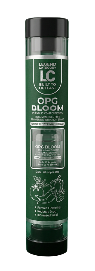 OPG Bloom