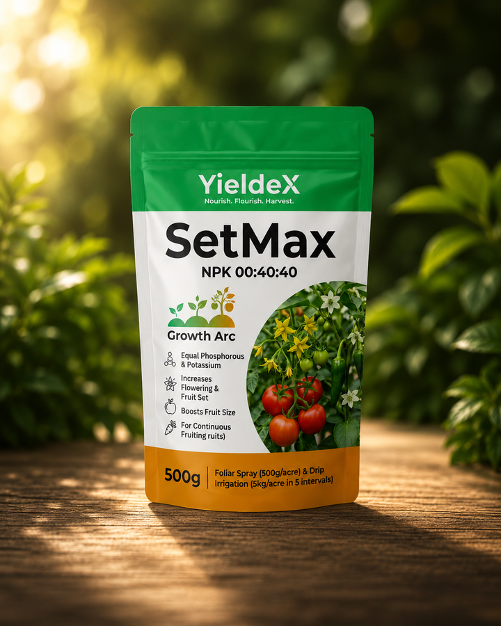 SetMax